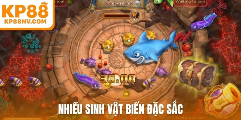 Nhiều sinh vật biển đặc sắc